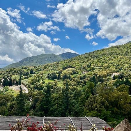 B&B Su Biancu - Sardinian Experience Урцулей Экстерьер фото