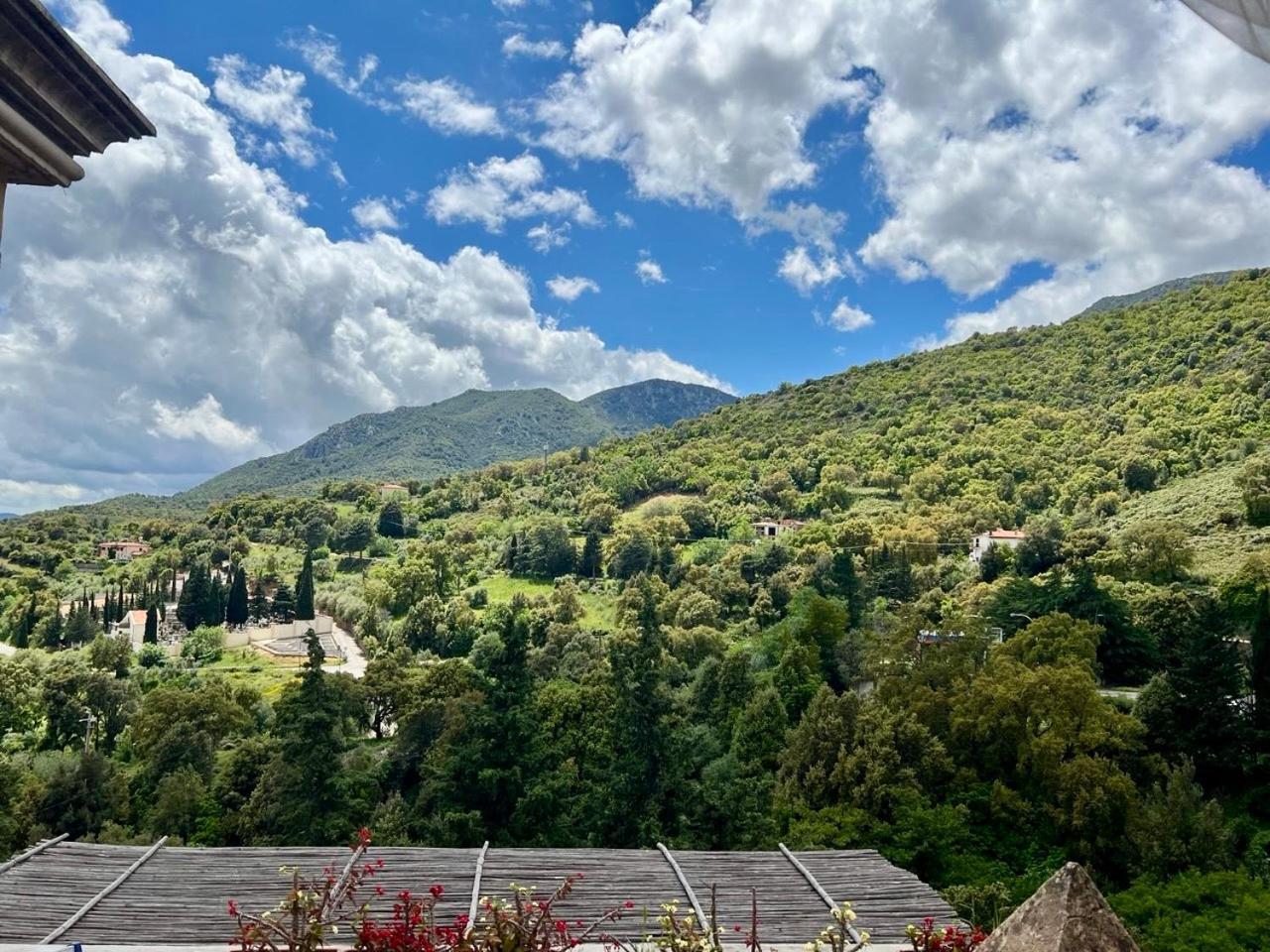 B&B Su Biancu - Sardinian Experience Урцулей Экстерьер фото